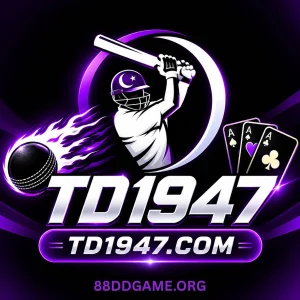 TD1947 Game